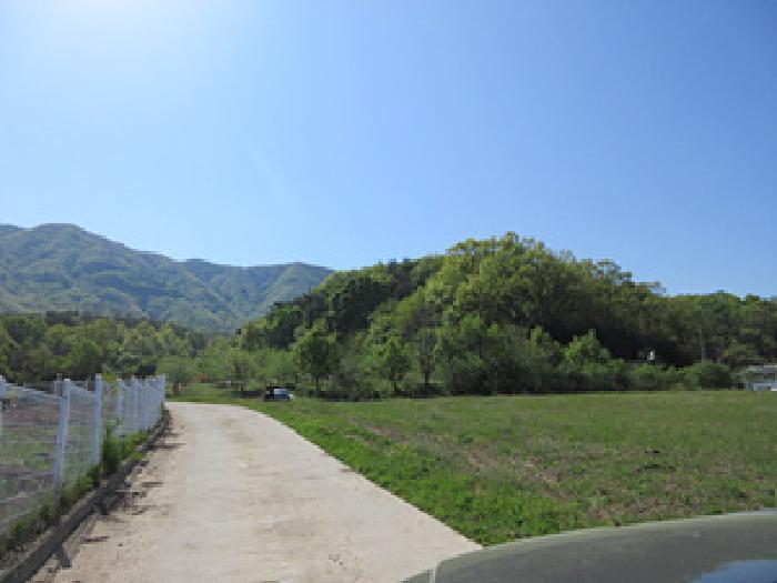 경상북도 상주시 모서면 득수리 산146 임야 경매 사진 15
