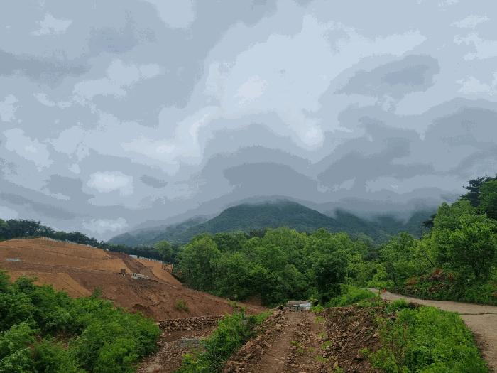 경상북도 상주시 모서면 득수리 산146-5 임야 경매 사진 2