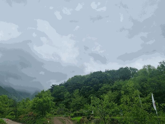 경상북도 상주시 모서면 득수리 산146-5 임야 경매 사진 3