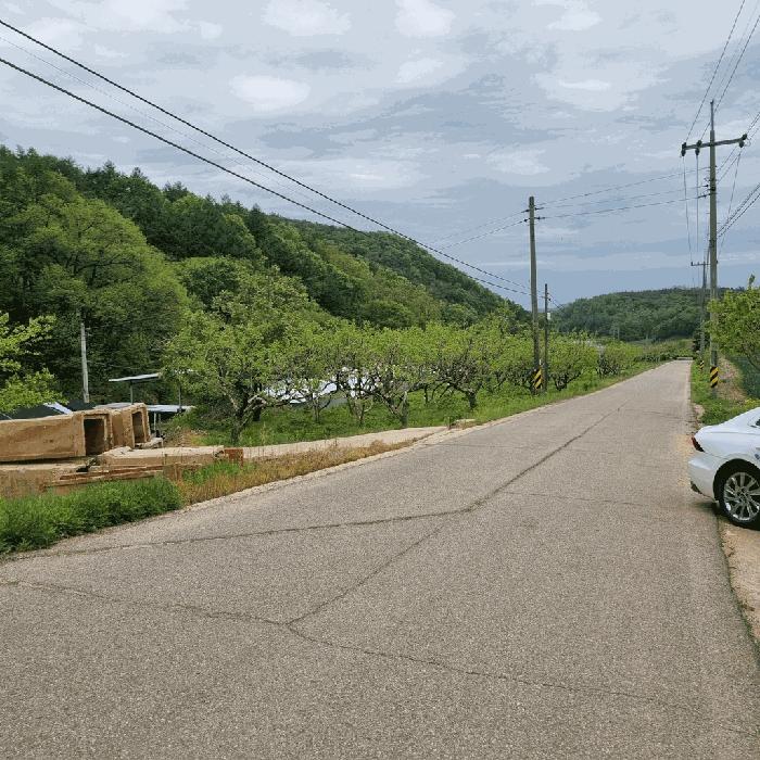 경상북도 문경시 호계면 호계리 255 전 경매 사진 5