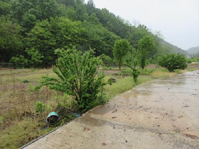 경상북도 문경시 호계면 호계리 255 전 경매 사진 9