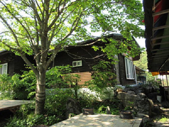 경상북도 문경시 가은읍 완장리 431-1 상가 경매 사진 13