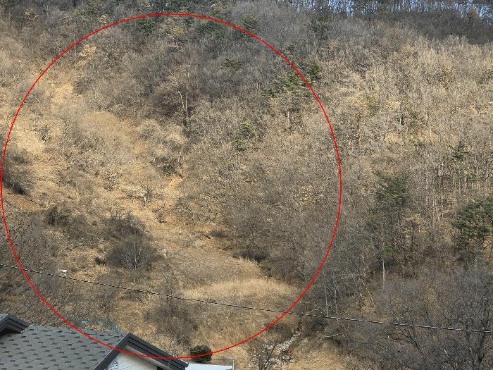 경상북도 경주시 양남면 신대리 627-1 답 경매 사진 1