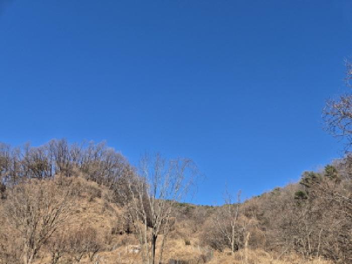경상북도 경주시 양남면 신대리 627-1 답 경매 사진 11