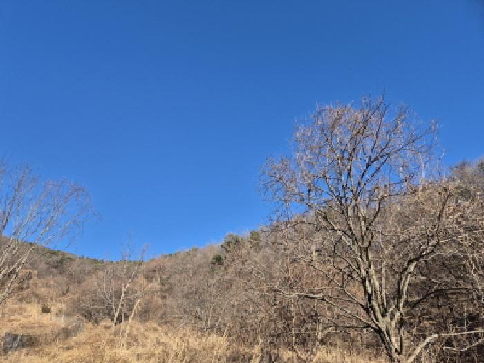 경상북도 경주시 양남면 신대리 627-1 답 경매 사진 12