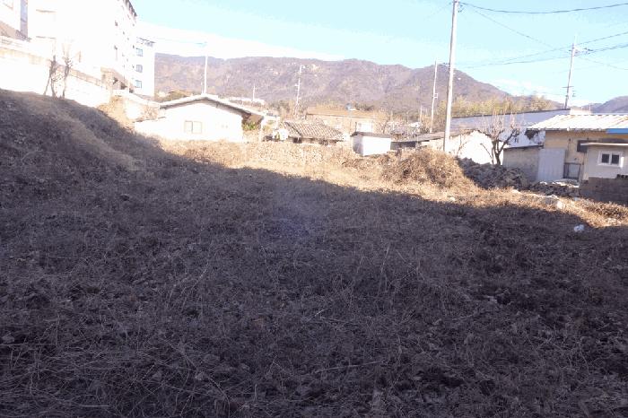 경상북도 경주시 외동읍 모화리 401 대지 경매 사진 2
