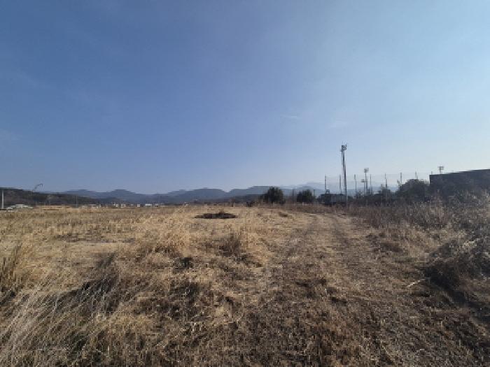 경상북도 경주시 천북면 물천리 541 전 경매 사진 2