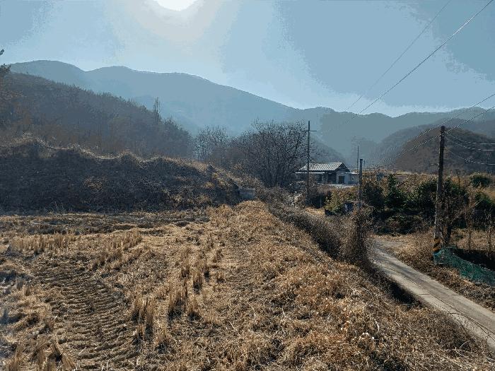경상북도 경주시 임야