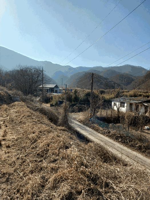 경상북도 경주시 현곡면 남사리 산133 임야 경매 사진 2