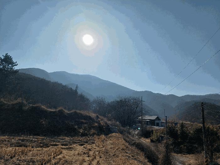 경상북도 경주시 현곡면 남사리 산133 임야 경매 사진 3