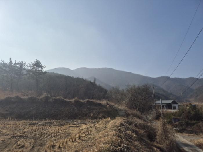 경상북도 경주시 현곡면 남사리 산133 임야 경매 사진 4