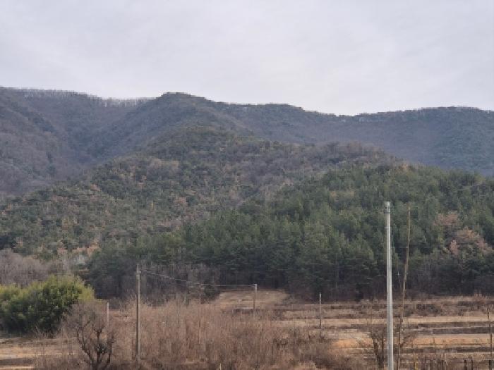 경상북도 경주시 임야