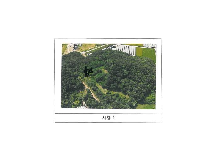 경상북도 김천시 감천면 도평리 산30 임야 경매 사진 6