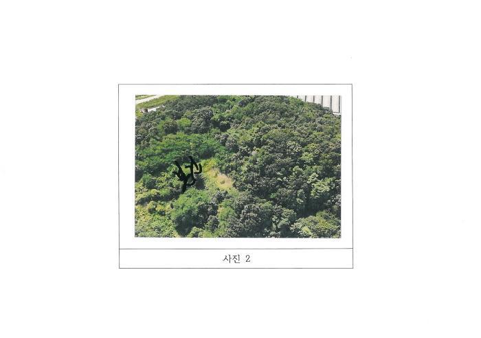 경상북도 김천시 감천면 도평리 산30 임야 경매 사진 7
