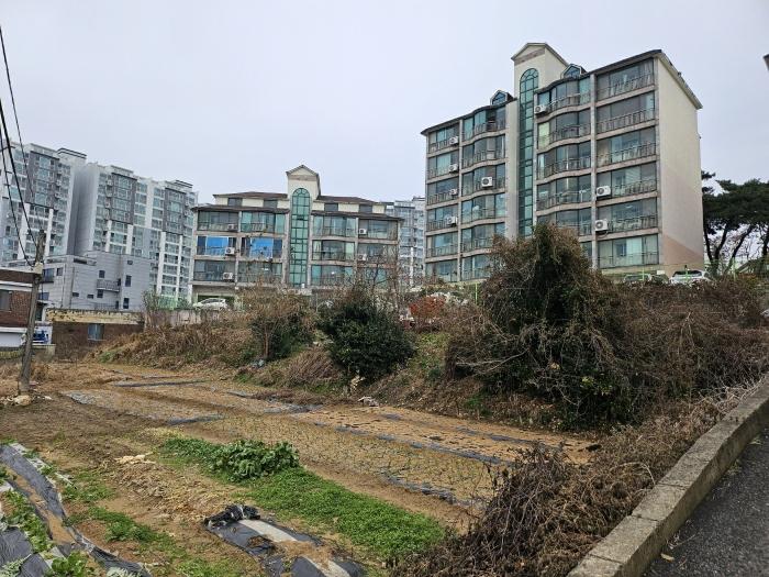 충청남도 당진시 읍내동 187 주택 경매 사진 2