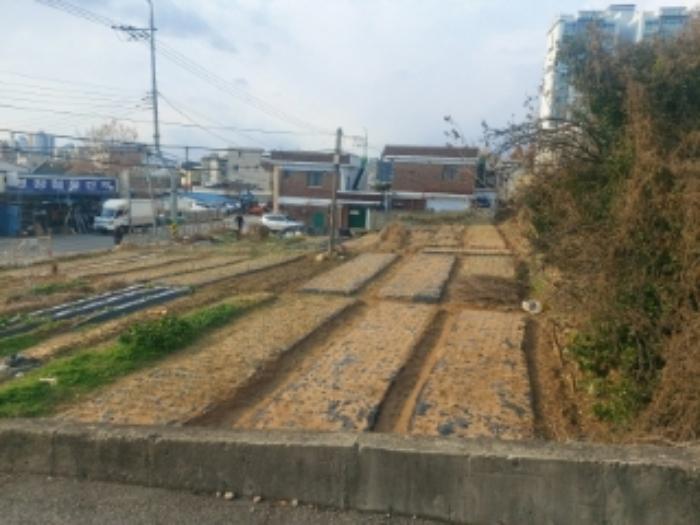 충청남도 당진시 읍내동 187 주택 경매 사진 20