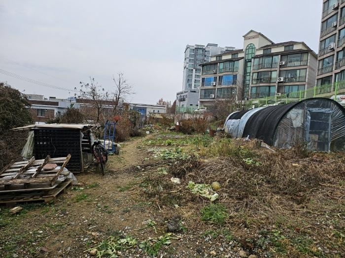 충청남도 당진시 읍내동 187 주택 경매 사진 9