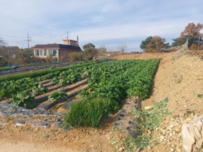 충청남도 당진시 송악읍 반촌리 853-20 전 경매 사진 2