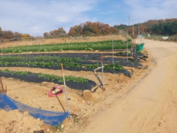 충청남도 당진시 송악읍 반촌리 853-20 전 경매 사진 3
