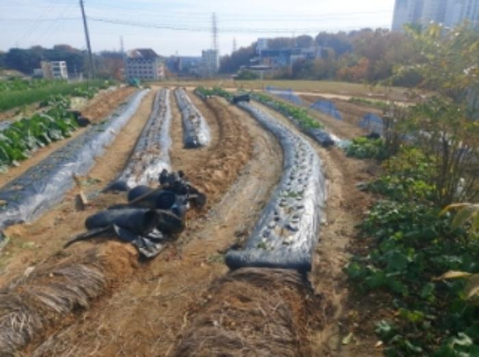 충청남도 당진시 송악읍 반촌리 853-20 전 경매 사진 5
