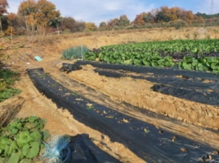 충청남도 당진시 송악읍 반촌리 853-20 전 경매 사진 6