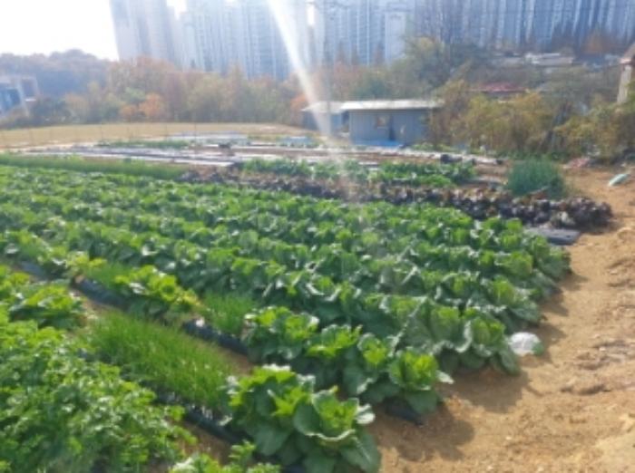 충청남도 당진시 송악읍 반촌리 853-20 전 경매 사진 7