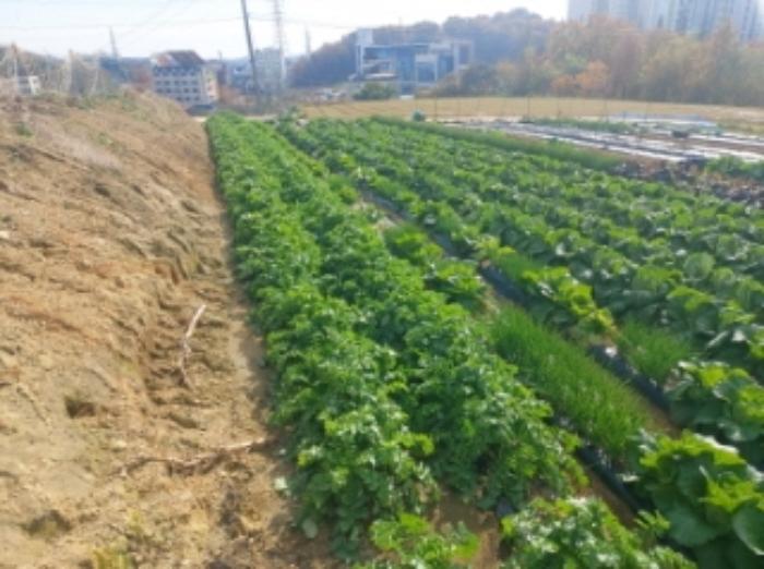 충청남도 당진시 송악읍 반촌리 853-20 전 경매 사진 8