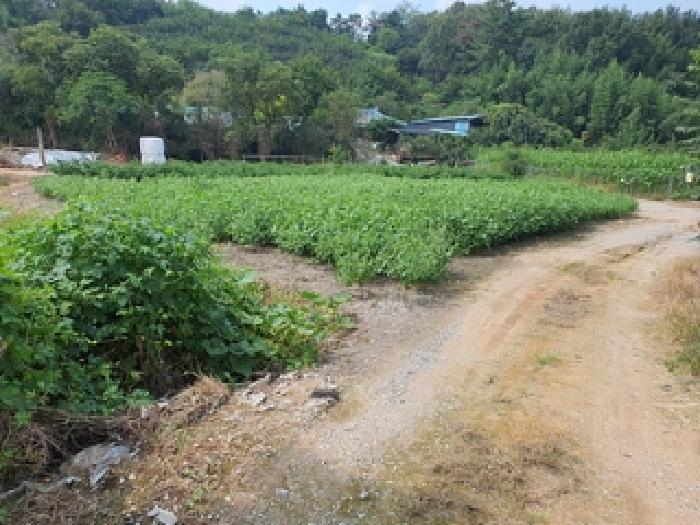 경상남도 김해시 한림면 장방리 1164-5 전 경매 사진 16