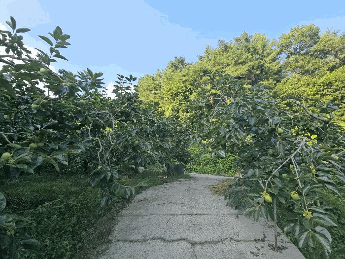 경상남도 창원시 의창구 북면 외산리 835 전 경매 사진 11