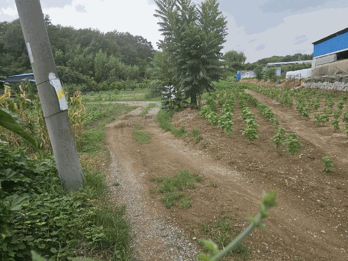 경상남도 창원시 의창구 북면 외산리 835 전 경매 사진 12