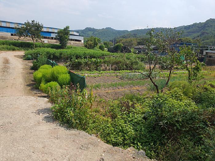 경상남도 창원시 의창구 북면 외산리 835 전 경매 사진 13
