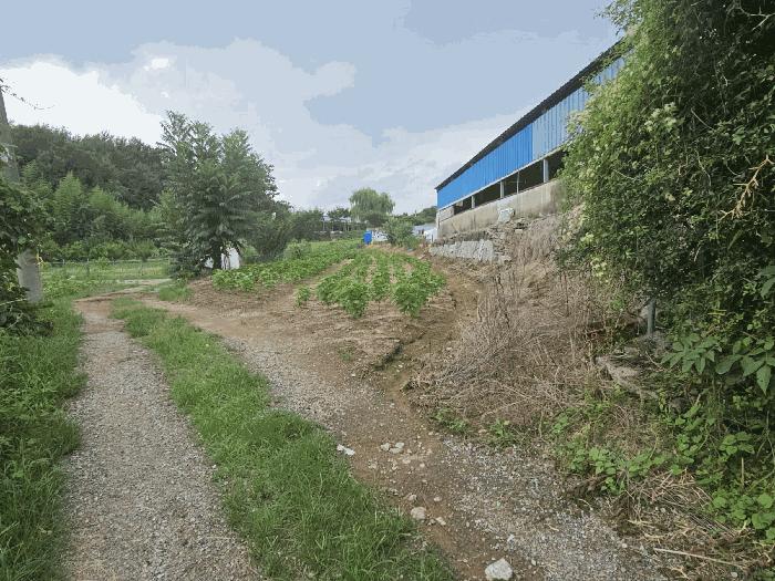 경상남도 창원시 의창구 북면 외산리 835 전 경매 사진 9