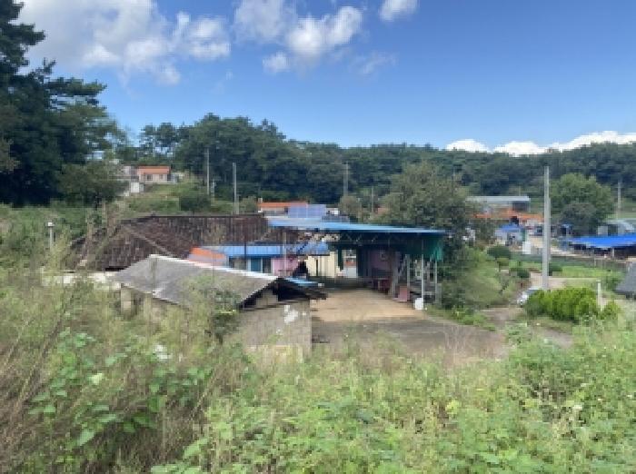충청남도 당진시 송산면 무수리 374 전 경매 사진 12