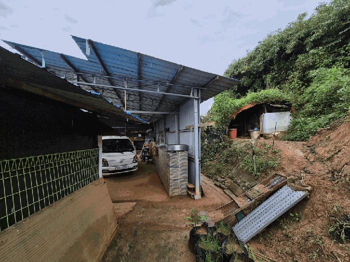 충청남도 당진시 송산면 무수리 374 전 경매 사진 5
