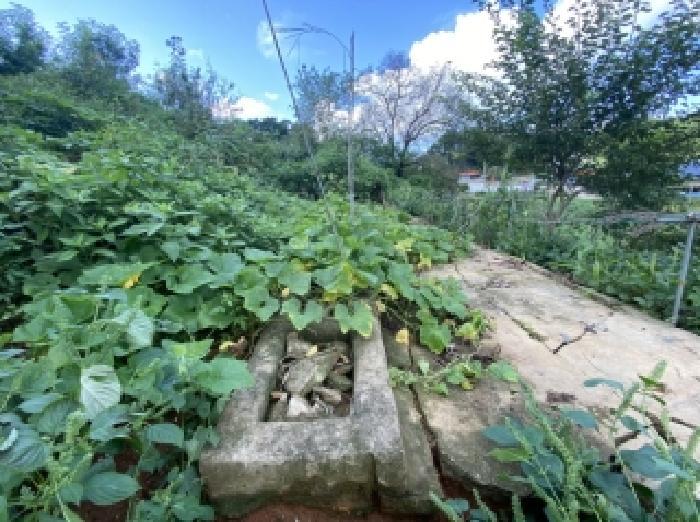 충청남도 당진시 송산면 무수리 374 전 경매 사진 9