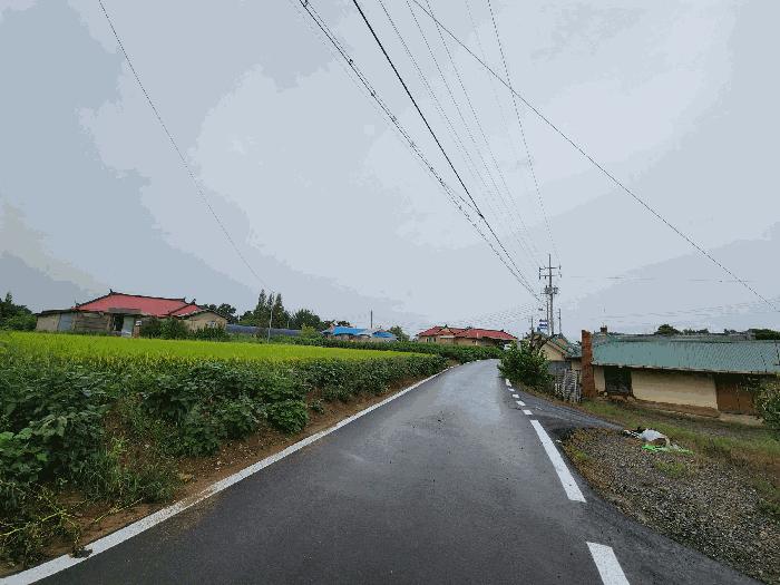 충청남도 당진시 우강면 원치리 111 대지 경매 사진 1