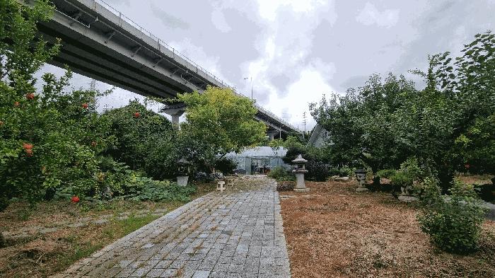 경상남도 김해시 진영읍 신용리 243-4 주택 경매 사진 2