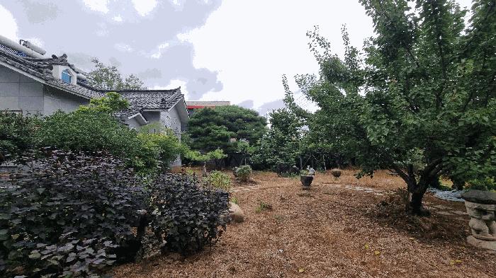 경상남도 김해시 진영읍 신용리 243-4 주택 경매 사진 5
