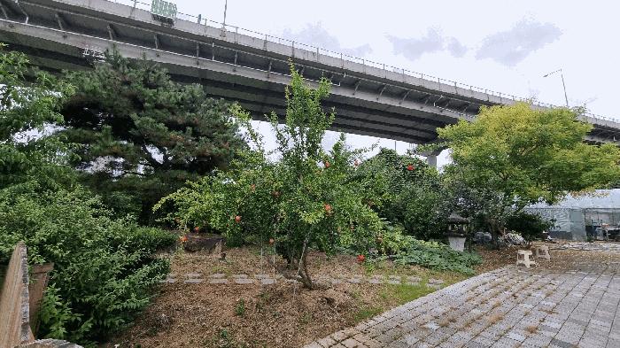 경상남도 김해시 진영읍 신용리 243-4 주택 경매 사진 9