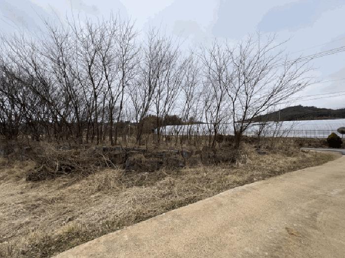 충청남도 당진시 석문면 장고항리 765-1 전 경매 사진 11