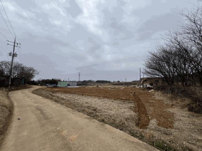 충청남도 당진시 석문면 장고항리 765-1 전 경매 사진 12
