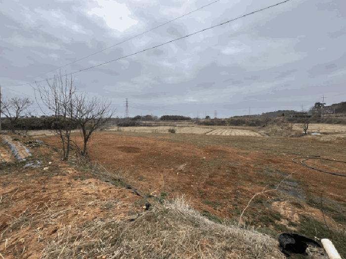 충청남도 당진시 석문면 장고항리 765-1 전 경매 사진 13