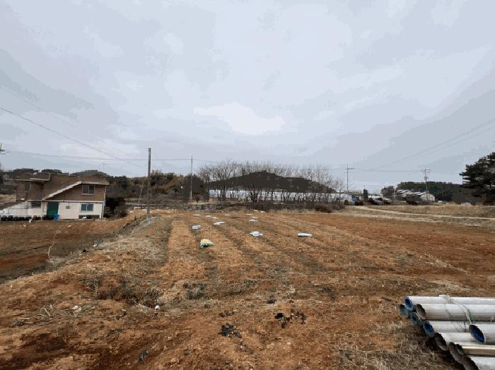 충청남도 당진시 석문면 장고항리 765-1 전 경매 사진 17