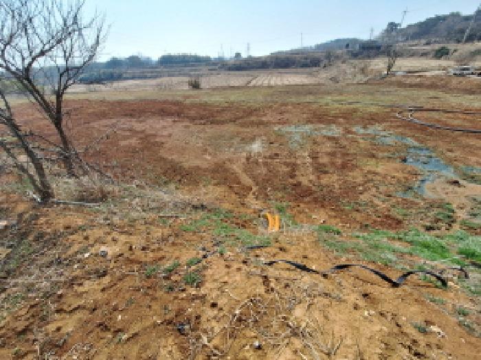 충청남도 당진시 석문면 장고항리 765-1 전 경매 사진 19