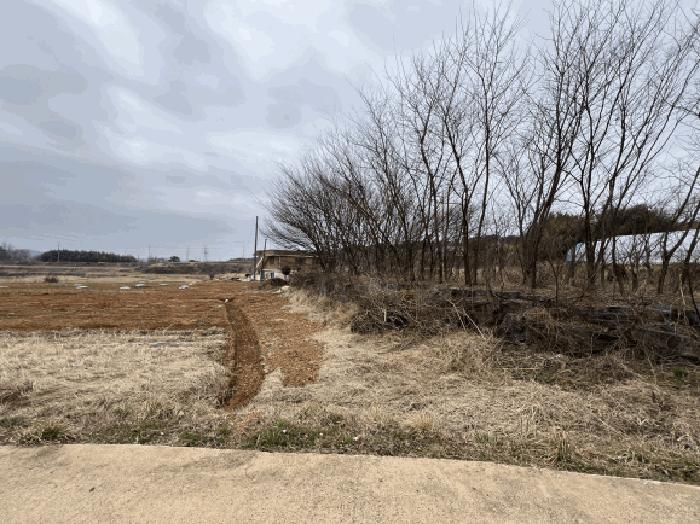 충청남도 당진시 석문면 장고항리 765-1 전 경매 사진 3