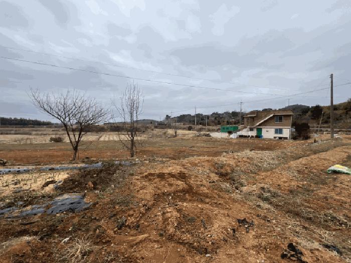 충청남도 당진시 석문면 장고항리 765-1 전 경매 사진 4