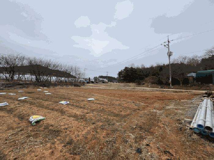 충청남도 당진시 석문면 장고항리 765-1 전 경매 사진 5