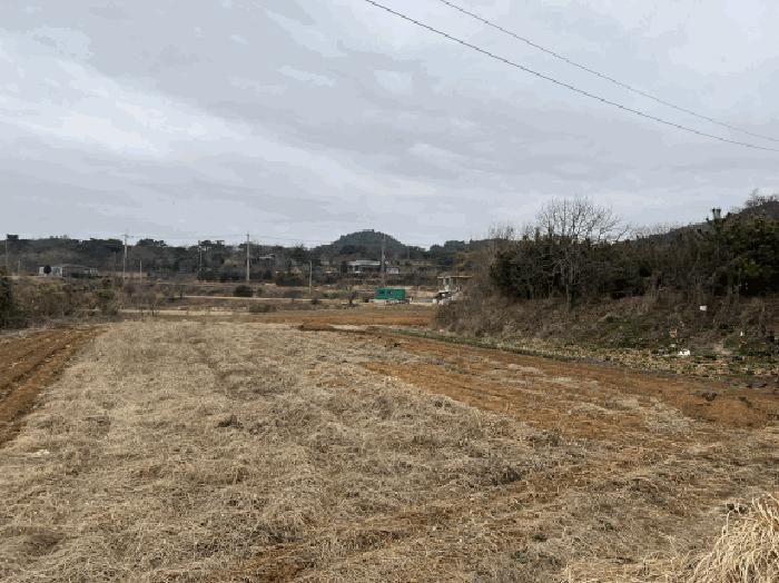 충청남도 당진시 석문면 장고항리 765-1 전 경매 사진 6
