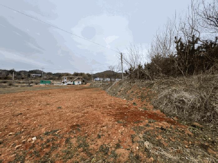 충청남도 당진시 석문면 장고항리 765-1 전 경매 사진 7