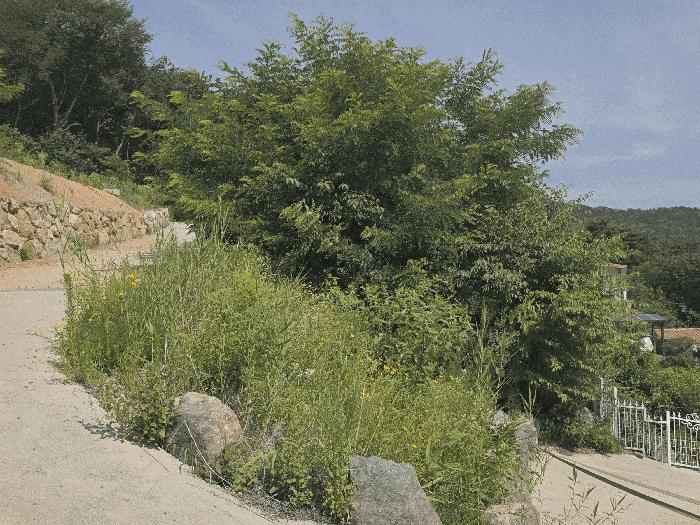 경상남도 김해시 진례면 고모리 834-4 주택 경매 사진 11